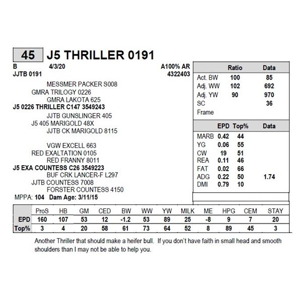 J5 THRILLER 0191