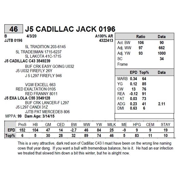 J5 CADILLAC JACK 0196