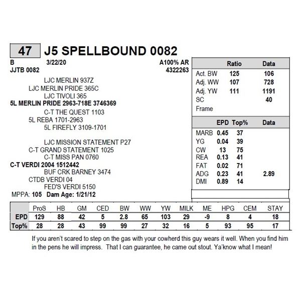 J5 SPELLBOUND 0082