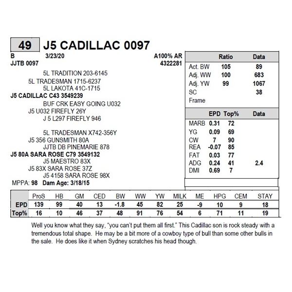 J5 CADILLAC 0097