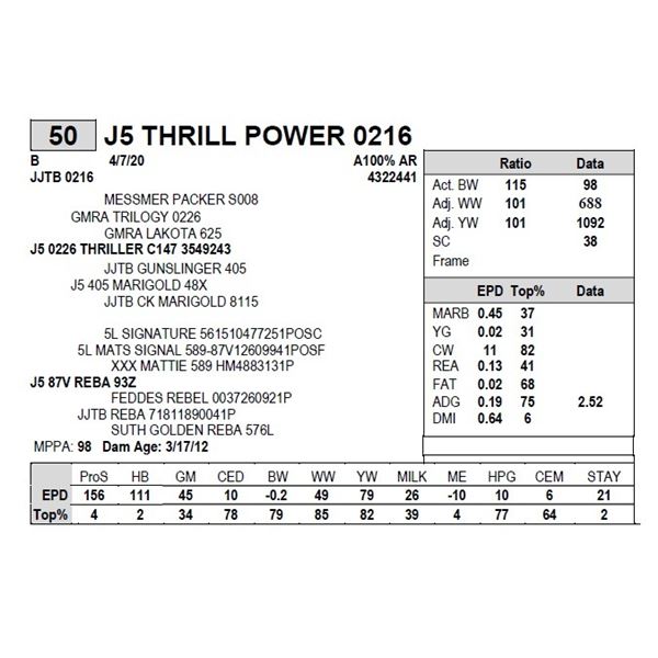 J5 THRILL POWER 0216