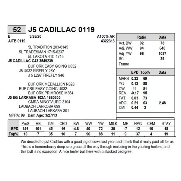 J5 CADILLAC 0119