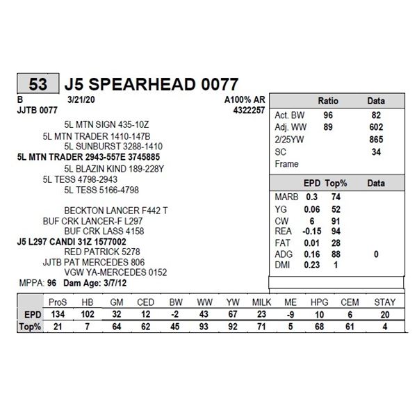 J5 SPEARHEAD 0077