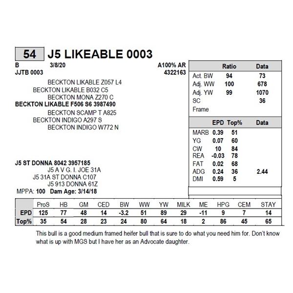 J5 LIKEABLE 0003