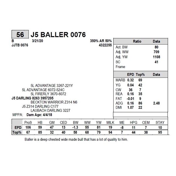 J5 BALLER 0076