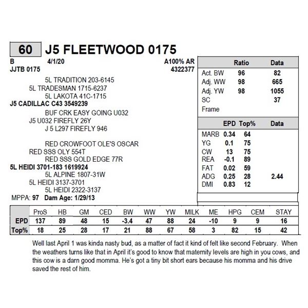 J5 FLEETWOOD 0175