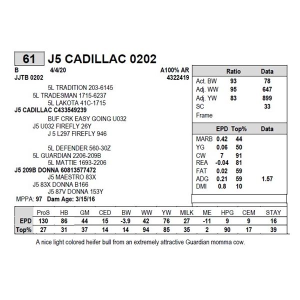 J5 CADILLAC 0202