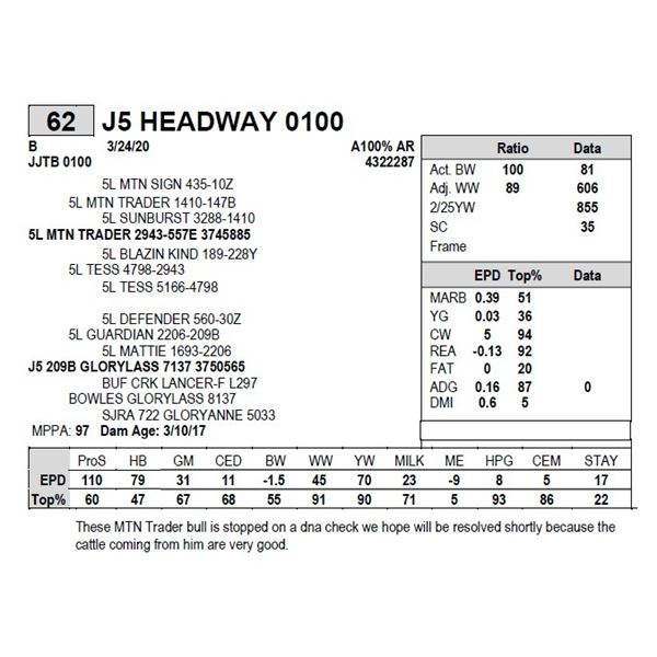 J5 HEADWAY 0100