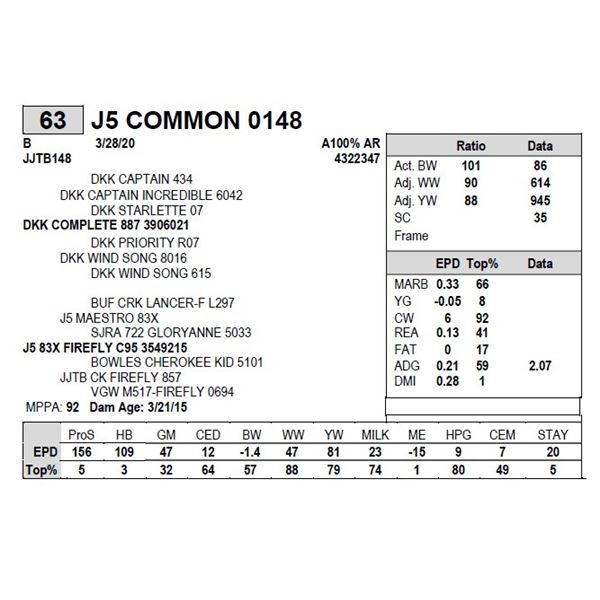 J5 COMMON 0148