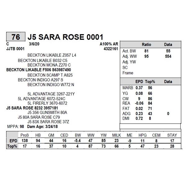 J5 SARA ROSE 0001