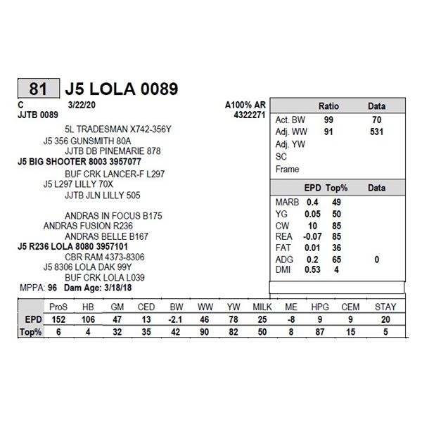 J5 LOLA 0089