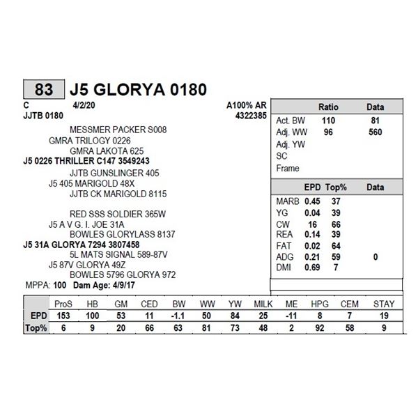 J5 GLORYA 0180