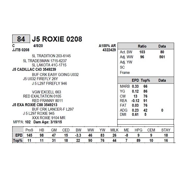 J5 ROXIE 0208