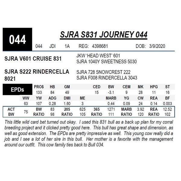 SJRA S831 JOURNEY 044