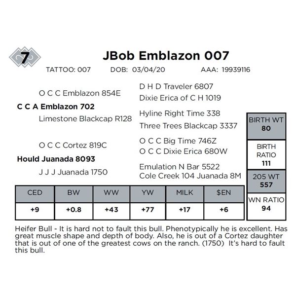 JBob Emblazon 007