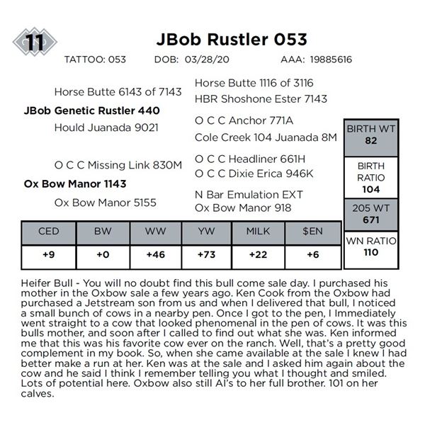 JBob Rustler 053