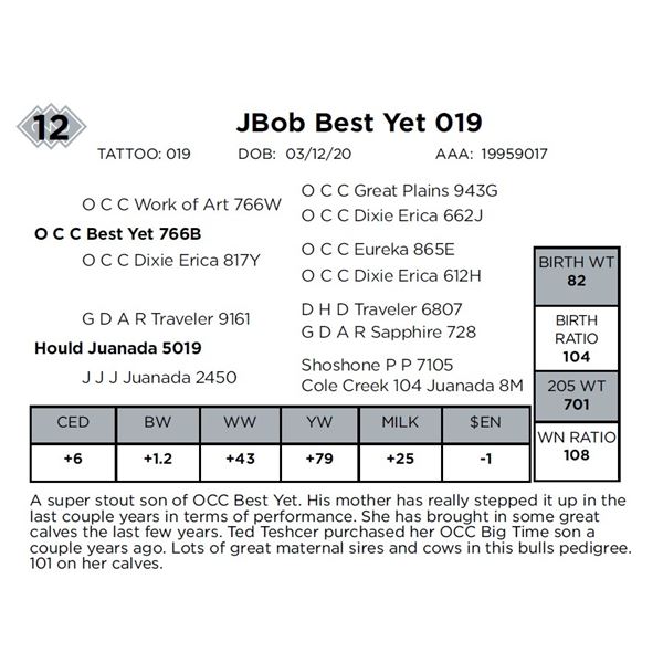 JBob Best Yet 019