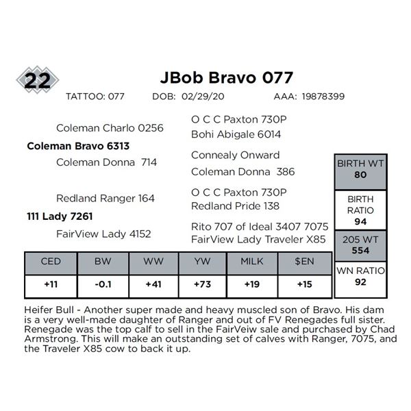 JBob Bravo 077