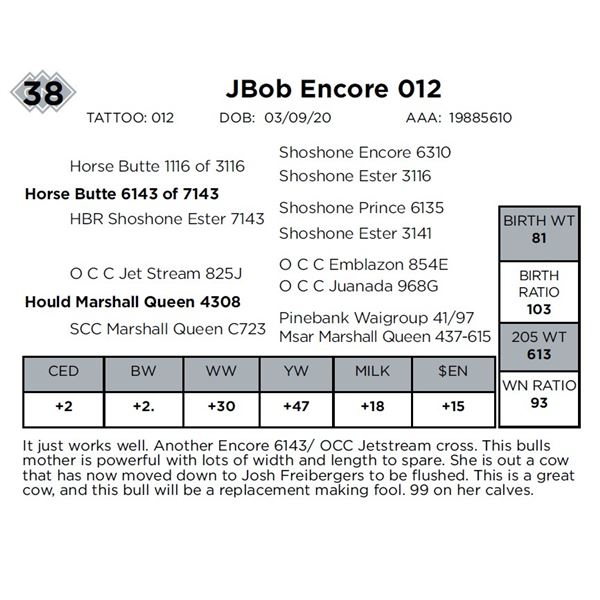 JBob Encore 012