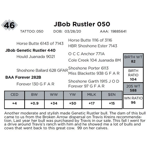 JBob Rustler 050