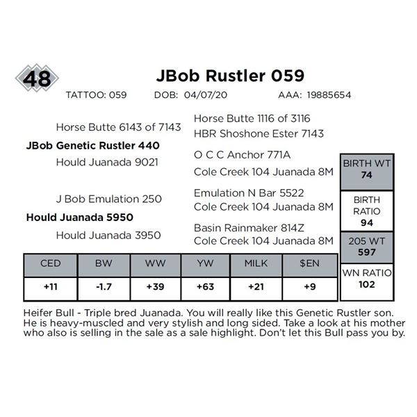 JBob Rustler 059