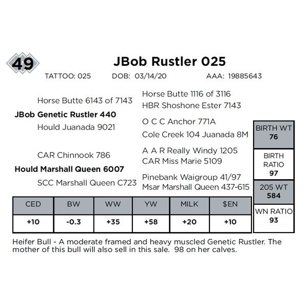 JBob Rustler 025