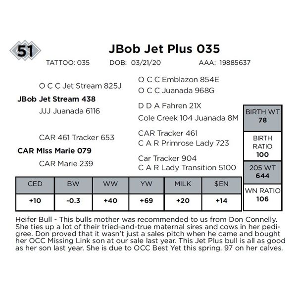 JBob Jet Plus 035