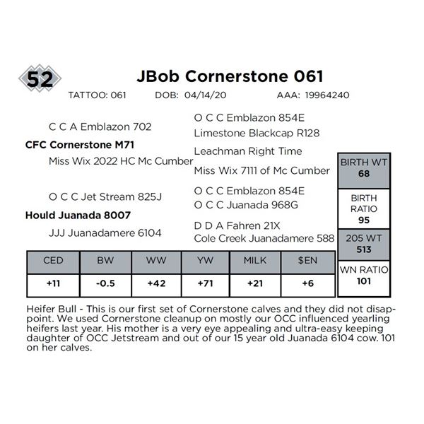 JBob Cornerstone 061