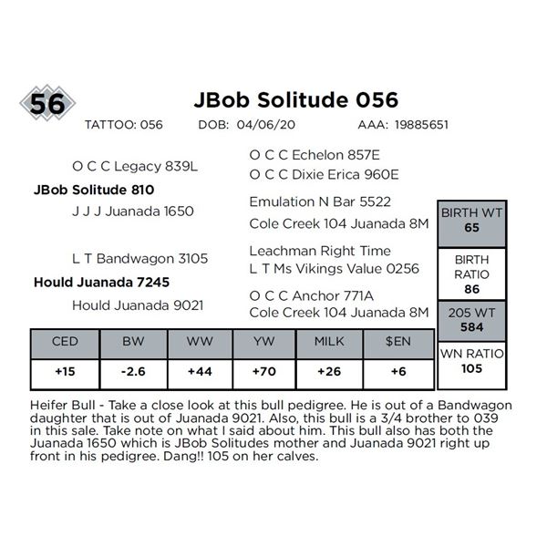 JBob Solitude 056