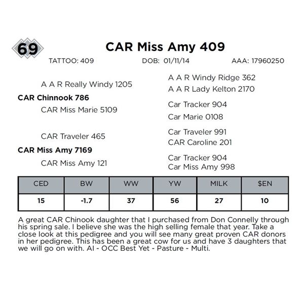 CAR Miss Amy 409