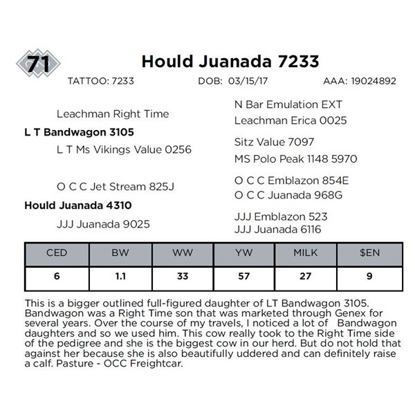 Hould Juanada 7233