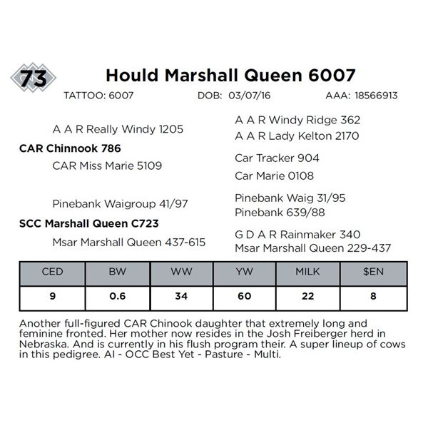 Hould Marshall Queen 6007