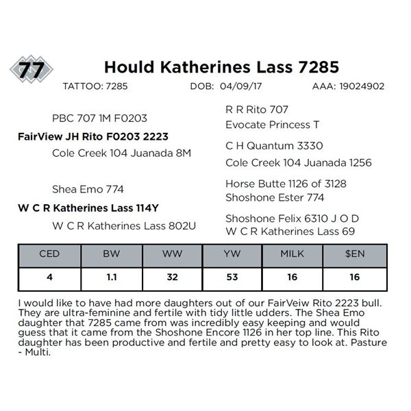 Hould Katherines Lass 7285