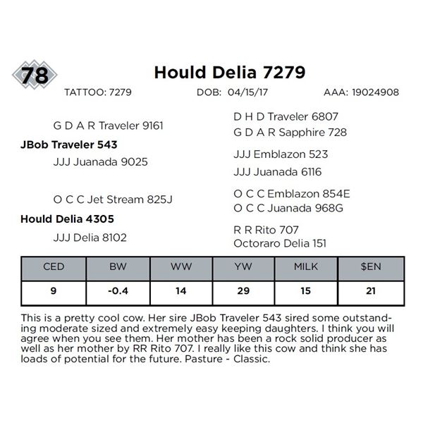 Hould Delia 7279