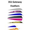 Image 1 : 351 Gateway Feathers