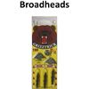 Image 1 : Broadhead