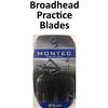 Image 1 : Practice Broadheads