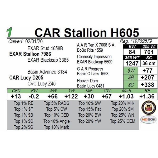 CAR Stallion H605