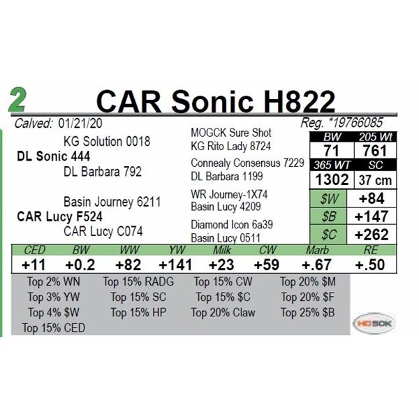 CAR Sonic H822