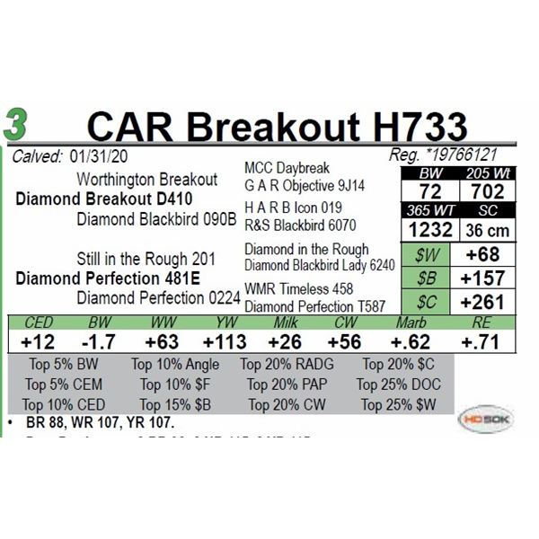 CAR Breakout H733