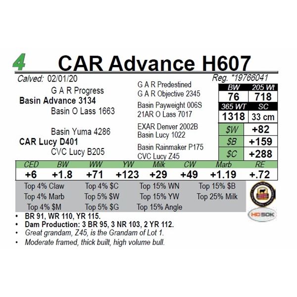 CAR Advance H607