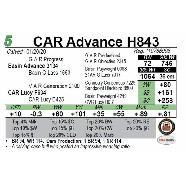 CAR Advance H843