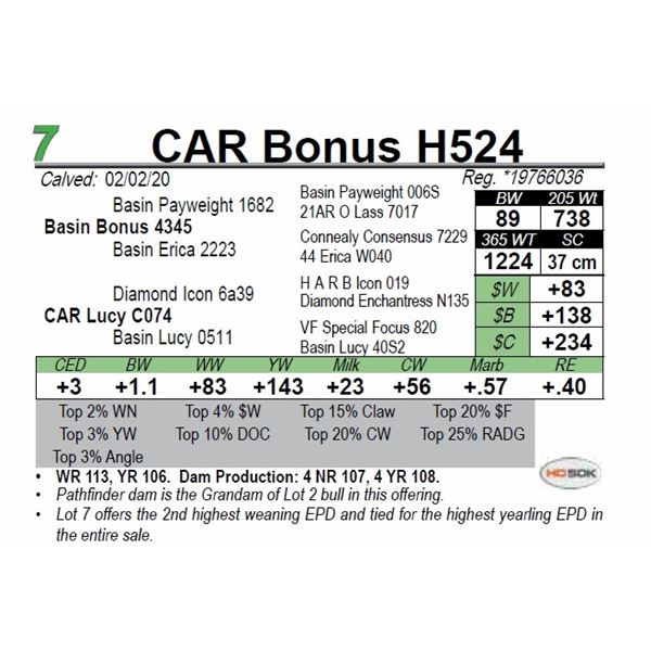 CAR Bonus H524