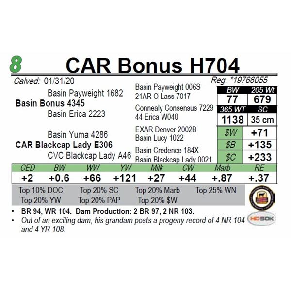 CAR Bonus H704