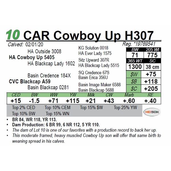 CAR Cowboy Up H307