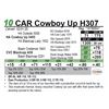 Image 1 : CAR Cowboy Up H307