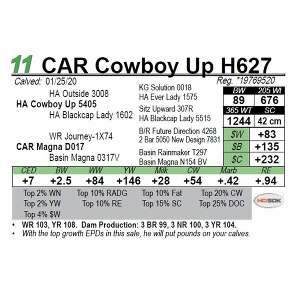 CAR Cowboy Up H627