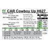 Image 1 : CAR Cowboy Up H627