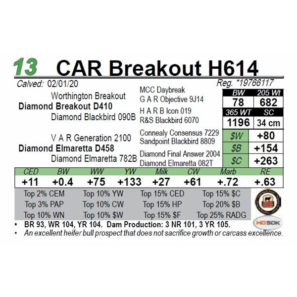 CAR Breakout H614