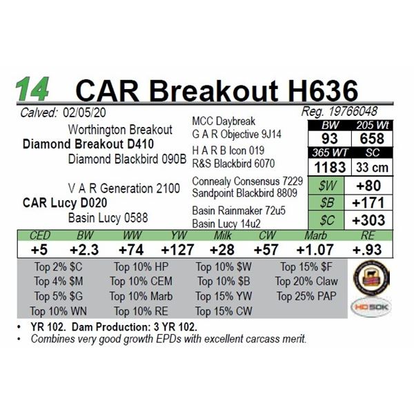 CAR Breakout H636